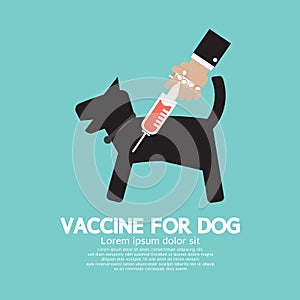 Dog's Vaccine To Prevent Illness