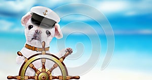 Dog sailor holds ship steering wheel in the sea background.