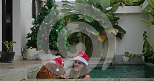 Dog in a Santa hat and his owner are having fun in the pool. Christmas in summer