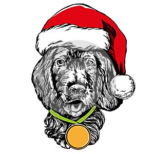 Dog in Santa stocking hat, Santa Claus, Christmas symbol hand drawn vector illustration realistic sketch.