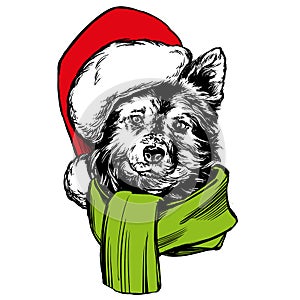 Dog in Santa stocking hat, Santa Claus, Christmas symbol hand drawn vector illustration realistic sketch.
