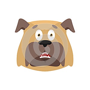 Dog scared OMG emotion. Pet Oh my God emoji. Frightened bulldog.