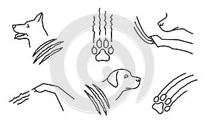 Dog scratch. Common pet behavior symbol. Excessive scratching.