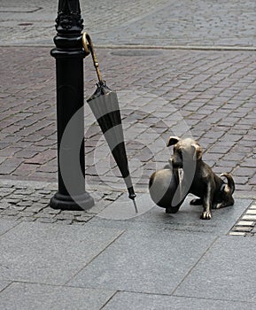 Dog sculpture in torun