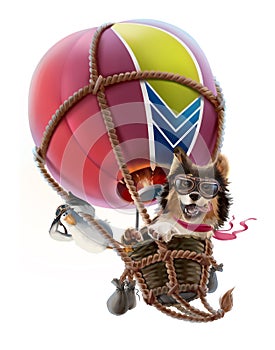 A dog and a seagull are flying in a balloon