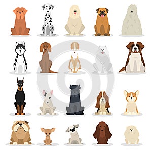 Dog set. Collection of dogs of various breed