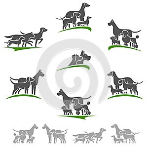 Dog set. Collection icon dogs. Vector