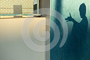 Dog shadow on the sun light on blue wall,child play concept. free space for text