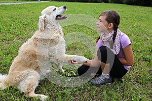 Dog shaking hands with a child