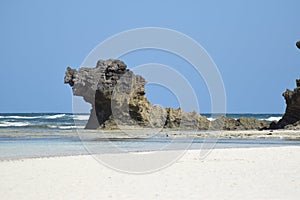 Dog shaped rock in Ocean