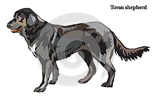 Dog shepherd vector illustration