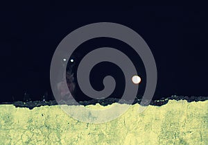 Dog with shining eyes night scene