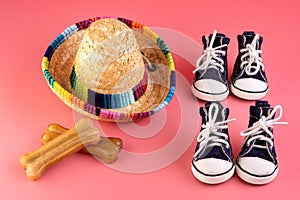 Dog shoes, a straw hat, a treat on a pink background. Concept of walking with a pet in the Park