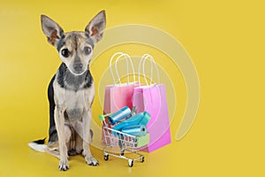 dog shop, pet accessories, animal shopping, happy dog with a shopping cart with pet goods and shopping bags