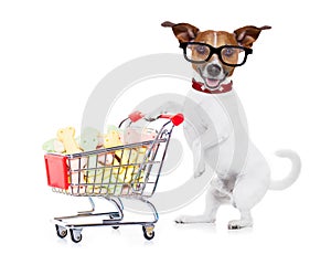 Dog with shopping cart