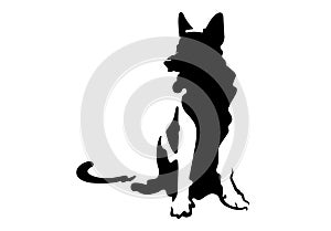 Dog silhouette German shepherd photo