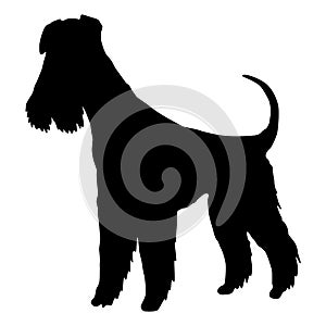 Dog silhouette, mittelschnauzer or airedale terrier breed. Side view pet stand icon in black color. Make used for dog
