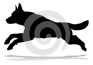 Dog Silhouette Pet Animal photo