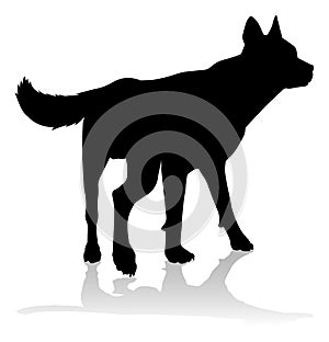 Dog Silhouette Pet Animal photo