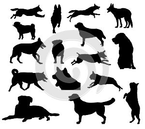 Dog silhouettes