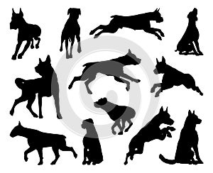 Dog Silhouettes Animal Set