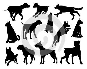 Dog Silhouettes Animal Set