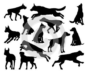 Dog Silhouettes Animal Set