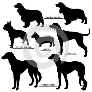 Dog silhouettes set