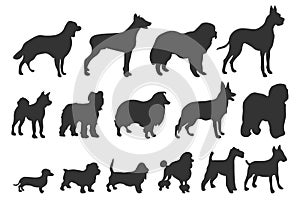 Dog silhouettes. Various breed. Doberman, malamute and labrador, poodle and corgi, bulldog and pug. Isolated vector set