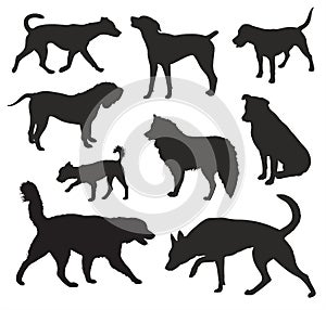 Dog Silhouettes vector