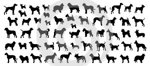 Dog Silhouettes Set Collection of Different Dog Breeds in Black Silhouette Style