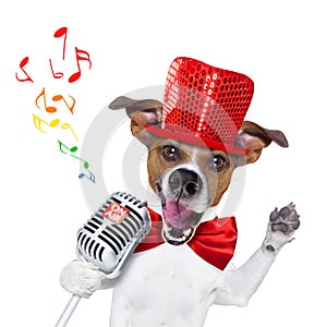 Dog singing with microphone