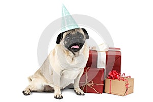 A dog sits with a festive cap on his head, next to several gift packs. Isolated on white background.