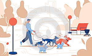 Dog sitter walking at park with lots of dogs. Vector concept outdoor illustration