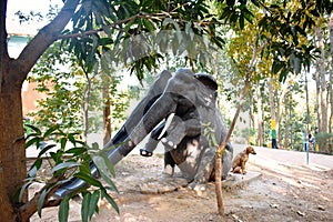 A dog sitting beside a artificial elephant in a playground
