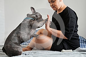 Dog sitting on bed, giving five and waiting while his female owner giving him a treat