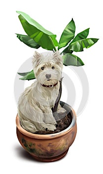 Dog sitting in a flower pot. Watercolor drawing