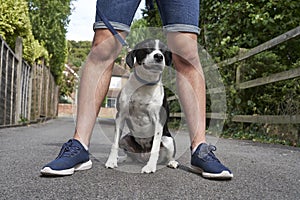 Dog sitting between owners legs