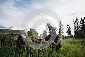 Dog sitting on scrap metal in a field