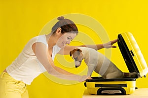 Dog is sitting in a suitcase next to a laughing woman on a yellow background. The girl is going on a trip with a pet