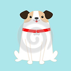 Dog sitting. White puppy pooch. Red collar bone. Cute cartoon kawaii funny baby character. Flat design style. Help homeless animal