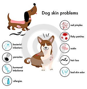 Dog skin problems,disease.Infographic icons with different symptoms and reasons of allergy, pimples and scabs.