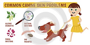 Dog skin problems. Horizontal illustration. Graphic design