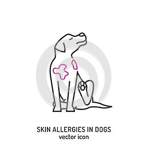 Dog skin problems icon. Allergies in dogs sign.