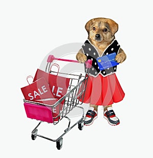 Dog in skirt pushes shopping cart 2