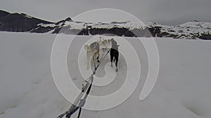 Dog sled ride on toboggan at Alaska glacier