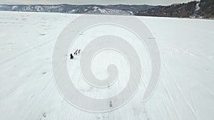 Dog sledding on a frozen lake in winter time. Clip. Aerial view of touristic husky sled safari through snowy frozen