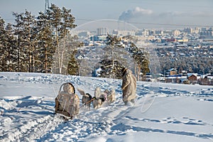 Dog sledding is a good entertainment for citizens of Yakutsk