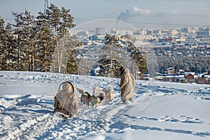 Dog sledding is a good entertainment for citizens of Yakutsk photo