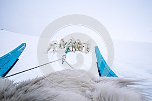 Dog sledding Qeqertarsuaq Greenland